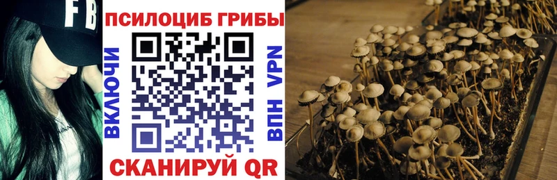 это как зайти  наркота  Славянск-на-Кубани  Псилоцибиновые грибы Cubensis 
